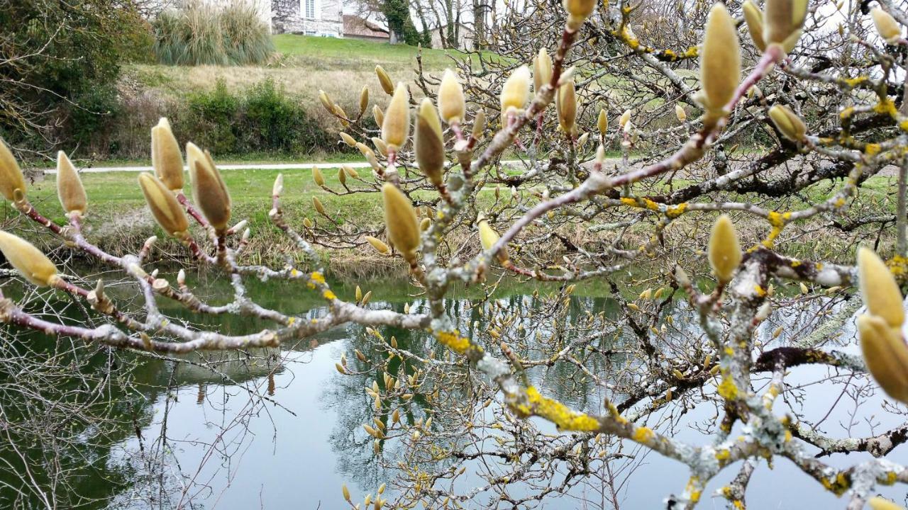 B&B Le Savoir Vivre Bonnes  Dış mekan fotoğraf