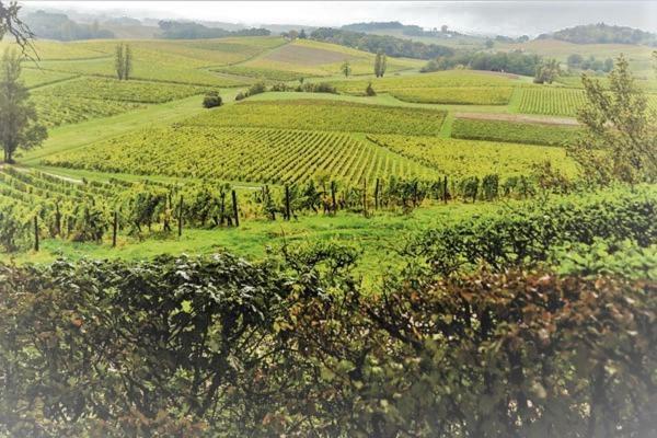 B&B Le Savoir Vivre Bonnes  Dış mekan fotoğraf