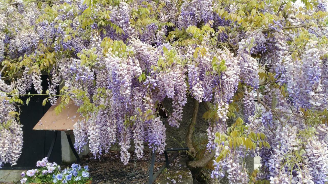 B&B Le Savoir Vivre Bonnes  Dış mekan fotoğraf